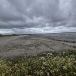 Zomer in Nederland